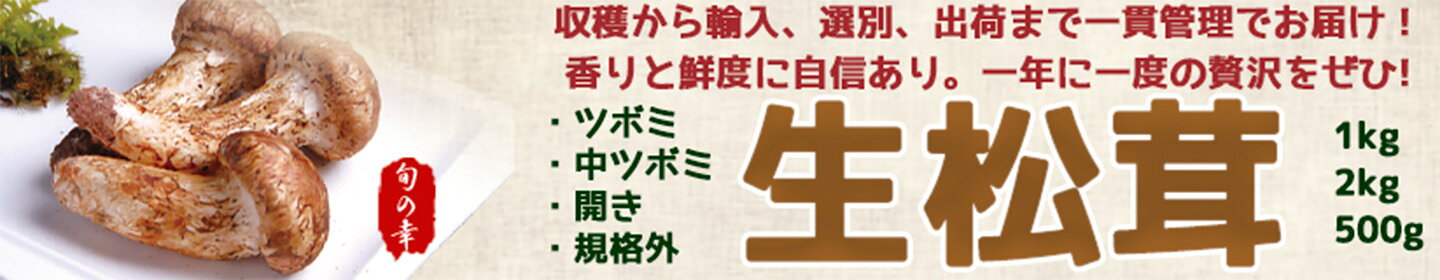 中国産　生松茸