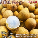 生龍眼（リュウガン）ベトナム産｜空輸 フレッシュ生竜眼｜日本向け鮮度優先・濃厚な甘さで果汁も豊富｜ 栄養価の高く…