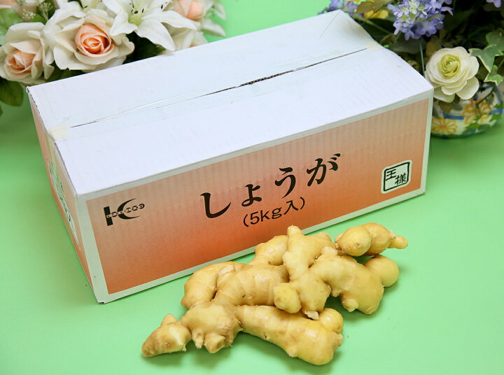 楽天市場】食用 生姜 特選 5kg/箱 バラ 中国産 近江生姜(黄色) 生姜原 