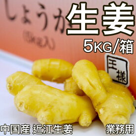 食用 生姜 特選 5kg/箱 バラ 中国産 近江生姜(黄色) 生姜原体 しょうが 辛みが強く 果肉も黄色で鮮やか 免疫力アップ食材 新鮮食材【業務用・大量販売】【国内検品出荷】【日時指定可】