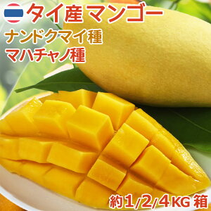 ^CY ihN}C}S[ }n`m}S[ A { L܍͔| tbV}S[ LȊÂ݂Ǝ_̃oX▭ IgsJt[c ך䊉 Thai Fresh Mango ƒp 