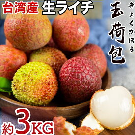 台湾産 生ライチ 玉荷包（ぎょくかほう）空輸 大粒 日本向け フレッシュライチ 上品な香りが強い瑞々しい トロピカルフルーツ レイシ 台灣茘枝 Taiwan Lychee 厳選南国フルーツ 家庭用 お中元 父の日 贈答用 果物ギフト 初夏限定 四季の広場 台湾応援祭＜安心の国内検品＞