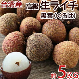 台湾産 生ライチ 黒葉（くろは）空輸 大粒 日本向け フレッシュライチ 上品な香りが強い瑞々しい トロピカルフルーツ レイシ 台灣茘枝 Taiwan Lychee 厳選南国フルーツ 家庭用 お中元 父の日 贈答用 果物ギフト 初夏限定 四季の広場 台湾応援祭＜安心の国内検品＞