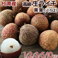 ＜予約6月中下旬＞台湾産 生ライチ 黒葉種（くろは）空輸｜すっきり爽やかな甘み｜日本向け高鮮度フレッ…