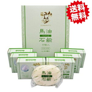 nΌ qmL̍ t \o[ Ό ΂  ێ XLPA Ԃ oX ʏpi RX e wAPA {fBPA 16 85g×6 Si/OKj