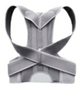 Lwxg pǂ xg v[g 蕨 pǂxg xg Lwxg Lw p ObY T|[^[ pǂObY  xgC