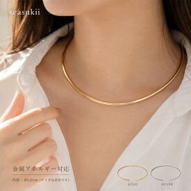 チョーカー ステンレス 金属アレルギー対応 レディース シンプル 華奢 サージカルステンレス ネックレス セレモニー 結婚式 パーティー お呼ばれ 二次会 カジュアル デイリー 大人かわいい 上品 きれいめ 韓国アクセサリー 推し活 誕生日プレゼント 女性 ギフト