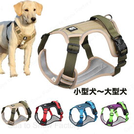 衝撃吸収 簡単着脱 かわいい ベーシックハーネス ハーネスベルト 抜けない 犬ハーネス 胴輪 大型犬 中型犬 ハーネス 犬 在庫処分
