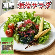 海藻サラダ 国産 塩蔵わかめ サラダ 若芽 わかめ 国産わかめ 食べ物 ワカメ 食品 北海道産 生わかめ 200g…