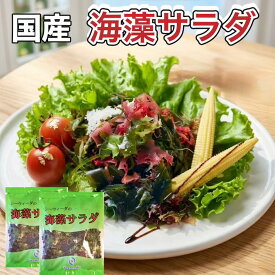 海藻サラダ 国産 【お得なセット200g×2袋】 塩蔵わかめ わかめ 新わかめ 国産わかめ 食品 国産生わかめ 若芽 美容 ダイエット 健康 北海道物産展 無添加 ヘルシー ミネラル 送料無料