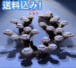 y|Cg5{IubNtCf[IzElHCubNZbgiCATSAoNeAAwiACAEgAj