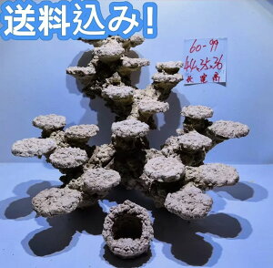 ElHCubNZbgiCATSAoNeAAwiACAEgAj傫F44cm 36cm s35cm