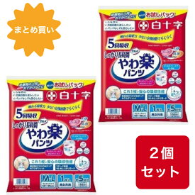 サルバ 【お試しパック】 Dパンツ しっかりガード長時間 M-Lサイズ 男女共用 1枚入2個セット 【ADL区分:立てる・座れる方】