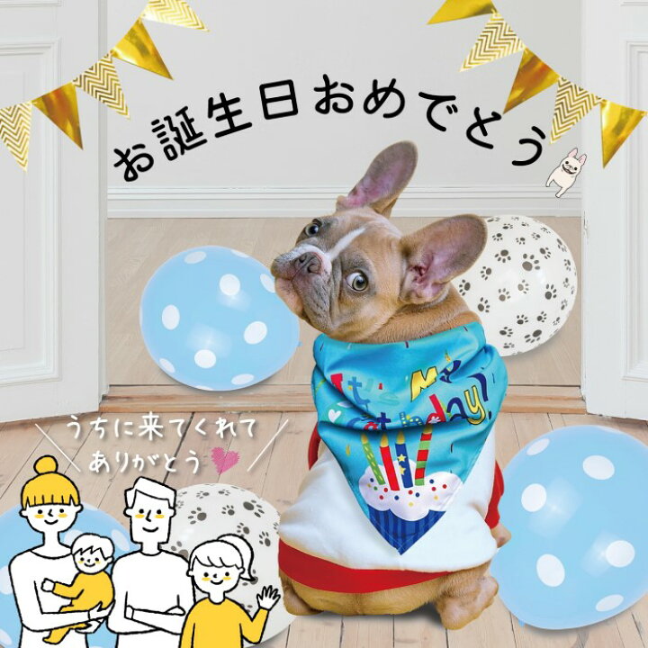 楽天市場 6 30限定 全品ポイント5倍 0 00 23 59迄 誕生日 犬 バルーン 飾り付け 誕生日グッズ スタイ セット 風船 バースデー クラウン 王冠 ガーランド 犬用 帽子 ペット おもちゃ 小型犬 お祝い Balloon ブルー ピンク メール便 Deerzon セカンドセンス