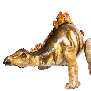 3D  o[ a t Zbg o[ D eBmTEX gPgvX XeSTEX o[Xf[o[  _Ci\[ j̎q ̎q 4 5 D o[X