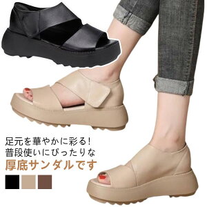 fB[X ʋC Vv Xj[J[ T_ Od X|[cT_ ₷ JWAV[Y gAbv y b r ɂ L EH[LOV[Y wlC