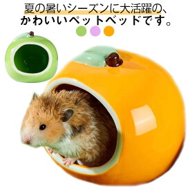 ハムスターハウス 陶器ハウス 涼感 隠れ家 熱中症対策 小動物 ハムスターハウス 夏用 ひんやりハウス ハムスターベッド 冷房対策 暑さ対策 お休み所 洗える 掃除便利 アニマル 可愛い セラミック