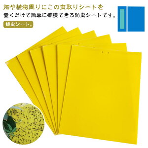 RoG Sgbv QߊlS ʔS RoG 悯 S}bg SV[g V[g ߒV[g Q nG莆 50Zbg ߒV[g Q΍pi ߒ O