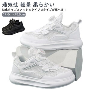 _C jq X|[c h^Cv q Xj[J[ ʉ ^C bV^Cv y ̎q w ^ _炩 j̎q zCg ʊw L jO LbY q w WjA 