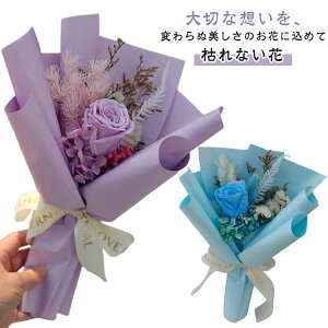 LO Vzj ͂Ȃ ԑ  v[g vU[uht[ a o Ђ܂ uU[ht[  Mtg j ACj j JX~\E  J@j 