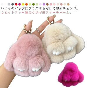 S20F t@[  L[z_[  obO`[ L[`F[ yzt@[`[ ӂӂ `[ e  J[oG[V y_g ANZT[  