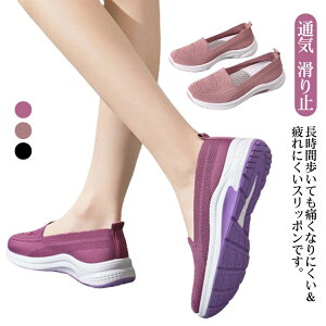 Xb| Xj[J[ fB[X bV ɂ i[XV[Y y ɂ m Ōt V[Y V[Y C y ҃V[Y wlC  L ₷ g