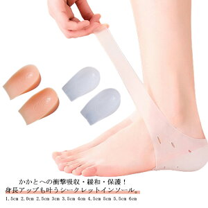 V[Nbg C\[ Ɨp ~ 1.5cm 2.0cm 2.5cm 3cm 3.5cm 4cm 4.5cm 5cm 5.5cm 6cm gAbv Ռz V[NbgC\[ VR NbV hL ʋC Y fB[X V[N