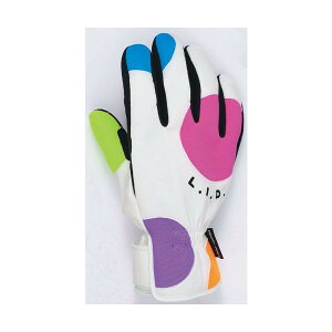 uSi10-16{ 1708vGACfB[@LID yBBL@#6204@WHITE/SPECIALz Xm[{[hANZT[@O[u@jpf/snow/Xm{