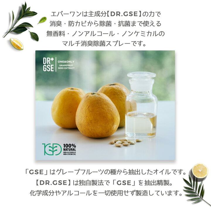 楽天市場】[ Everone ] エバーワン マルチ消臭 ・ 除菌 ・ 抗菌剤 2L 