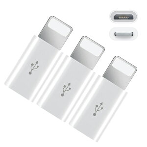 y 3Zbg z Micro USB to Lightning ϊ A_v^ zCg CgjO RlN^ TypeB iPhone iPad iPod Ή  Type-B  Lightning ϊA_v^ ϊRlN^ type-b lightning ϊ ^Cvb C
