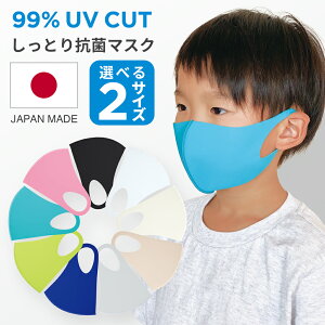 洗えるマスク 日本製の人気商品 通販 価格比較 価格 Com