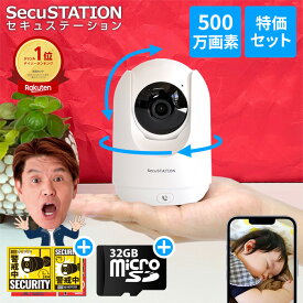 【SDカード付き録画セット】 見守りカメラ ベビーモニター ペットカメラ 通話 家庭用 屋内 室内 置き型 小型 高画質 500万画素 夜間撮影 録画機能付き SDカード録画 首振り wifi 無線 スマホ iPhone 会話 映像共有 通知 夜間撮影 動体検知 追尾 赤ちゃん DC55(B) 白