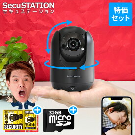 【SDカード付き届いてすぐ使用できる】 ペットカメラ 見守りカメラ 家庭用 屋内 室内 置き型 小型 高画質 屋内カメラ 夜間撮影 録画機能付き SDカード録画 首振り wifi 無線 スマホ iPhone 会話 映像共有 通知 夜間撮影 動体検知 追尾 赤ちゃん ブラック DC53(B) 黒