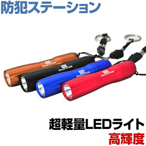 超小型・軽量!高輝度LEDライト