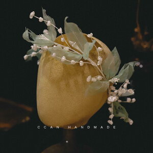 wAANZT[ XY Ԃт J`[V wbhoh ԉ  uC_ ANZT[ eBA  ԗ