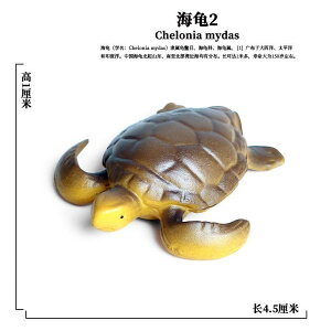 yM CJ Cm tBMA ͌^  zr[ l` RNV CeA ~j`A A q NW  fBXvC Mtg