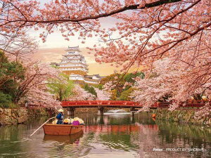 ̂܂(Yanoman) 150s[X WO\[pY v`pGNAV[Y PHƍ (7.6x10.2cm) 2308-28 s[X͂ C[[t