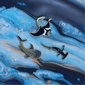 u[`  T fB[X Y fB[X Y obW a Mtg j̎q s ANZT[