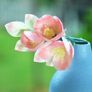 񂴂 GXjbN `H|  xxbg sN Ɠd t[`[t _炩Ȏ a    wAANZT[