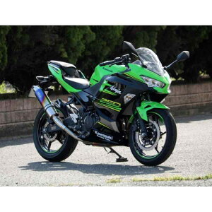 WR`S S/O EhĂF`^TCT[ Ninja250 18-(2BK-EX250P) BK4270JM