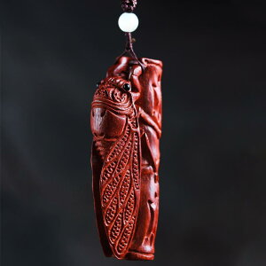  ANZT[ 蒤菬t h nhs[X Z~  Z~  s[X  Y fB[X