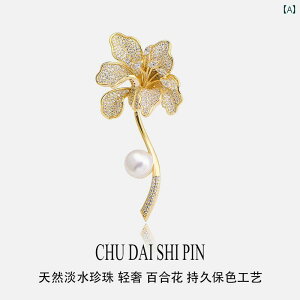 fB[X ANZT[ u[`  w GKg   W p[ RT[W X[cp