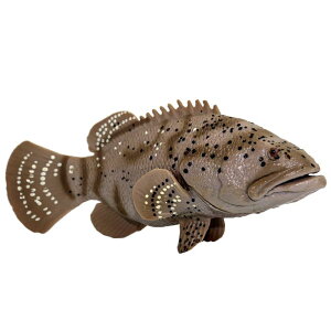  Mы JNN}m~ G[tBbV Cm tBMA ͌^  zr[ l` RNV CeA ~j`A A n^ q