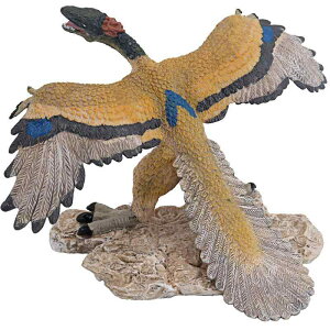  tBMA ͌^ l`  zr[ WVbN A RNV CeA ~j`A nc `bN   q v[g