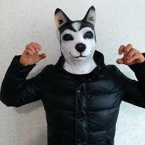 nXL[ }XN  wbh MA }XN ttFCX   l 킢   nEB jZbNX