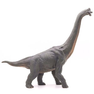  tBMA ͌^ l` LbY  zr[ WI 傫 uLITEX q j̎q  ~j`A RNV CeA v[g