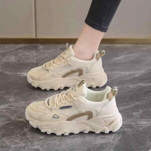 C X|[c V[Y Xj[J[ g[jO ^C fB[X  ʋC JWA w bV \tg \[ jO 