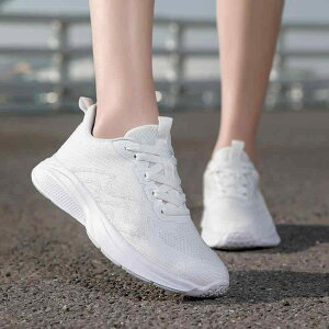 WMO V[Y ^C  fB[X C C w bV ʋCQ ɂ jOV[Y X|[c y ɂ \tg\[ _炩 ɂ hL s g