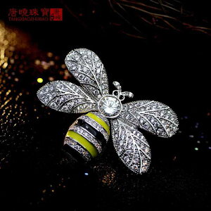 WPbg u[`    WG[ I   }CN WR  RT[W w Ǝ s J[fBK ؍