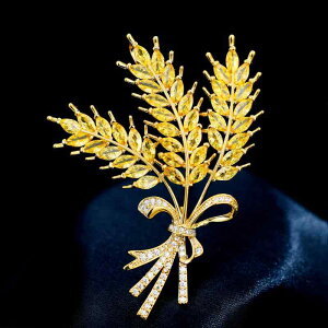 R[g fB[X u[`  w Ǝ nCGh    RT[W  s Io h~ obN Mtg